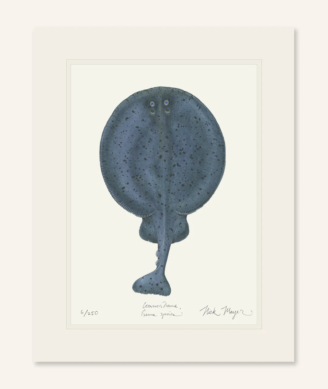 Pacific Electric Ray