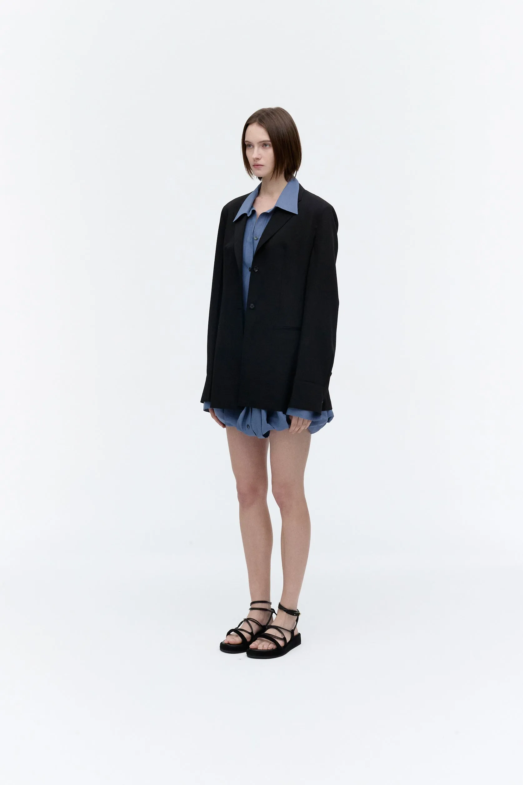 Sheer Ballon Silhouette One-Piece